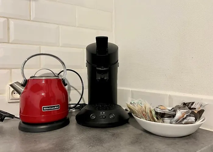 Magnifique Cl-fd Centre Historique Marche Poissons A * קלרמונט-פרנד